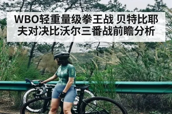 WBO轻重量级拳王战 贝特比耶夫对决比沃尔三番战前瞻分析